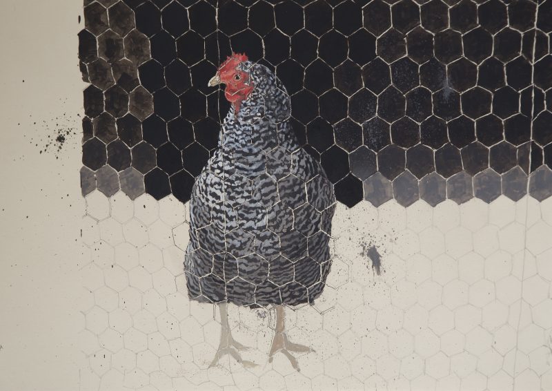 Chicken Wire. Oil on paper, 60 cm x 42 cm