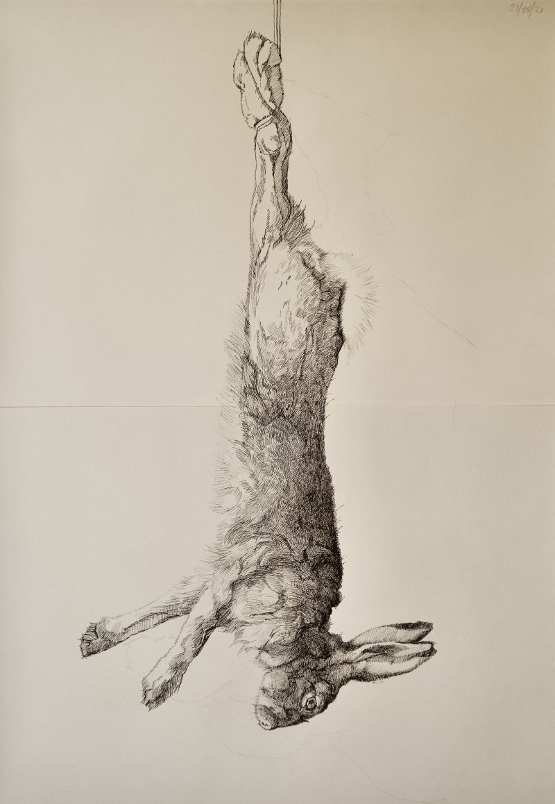 <p>Dead Hare. Ink, 80 cm x 60 cm</p>
